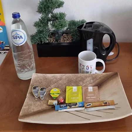 Relax Cozy Wellbeing Near Train Station Homestay Kleinbettingen