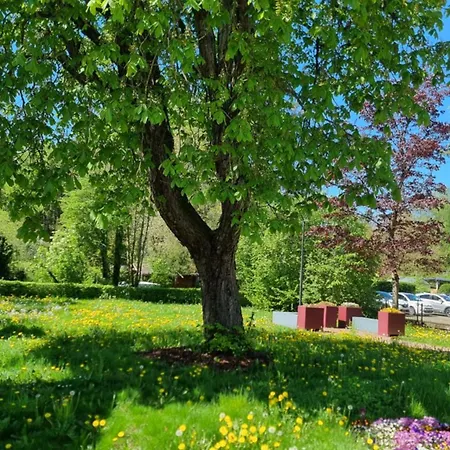 Relax Cozy Wellbeing Near Train Station Homestay Kleinbettingen