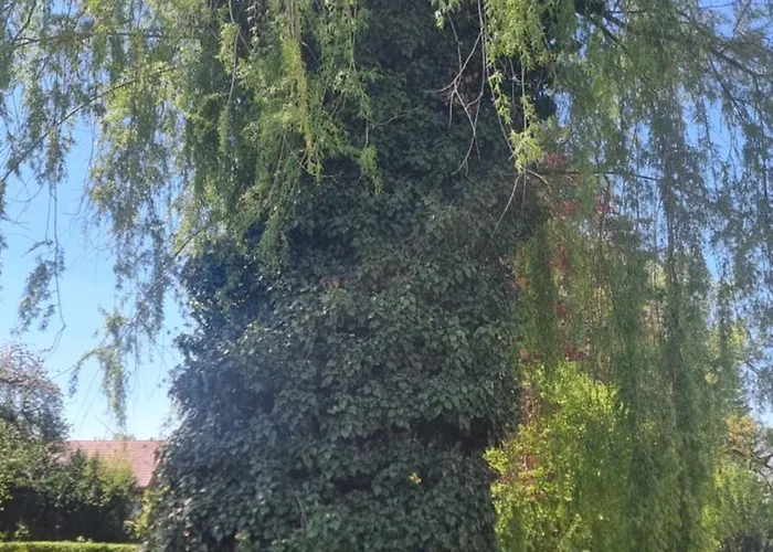 Relax Cozy Wellbeing Near Train Station *