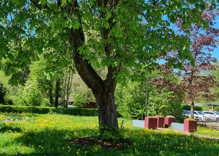 Relax Cozy Wellbeing Near Train Station בית אירוח Kleinbettingen